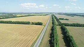 Photographie aérienne montrant des champs à perte de vue, séparés par des haies d'arbres. La route longe une de ces haies vers le centre de l'image. Au fond, un village agricole peut être observé, tandis que la route disparaît dans le fond de l'image. Les champs ont des couleurs allant du jaune au vert.