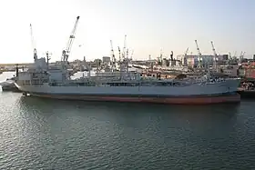 illustration de RFA Brambleleaf (A81)