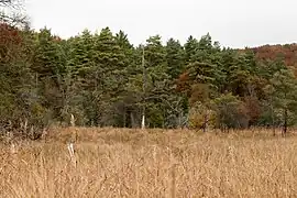 Sur le sentier de découverte.