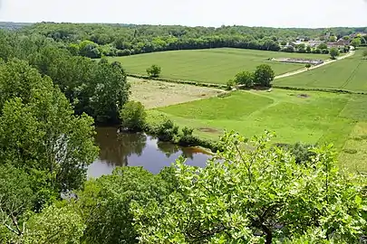 La forêt autour de Sauzelles en 2018.