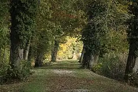 Allée sur la digue de l'étang.