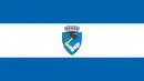 Drapeau de Târgu Mureș