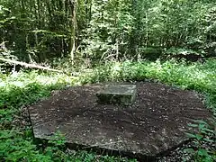 Exemple d'une dalle octogonale à la Fosse n° 4 des mines de Vicoigne.