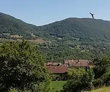 Faucon crécerelle à nouveau libre et en santé.