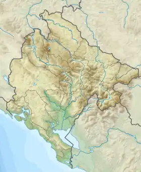 (Voir situation sur carte : Monténégro)