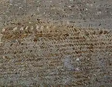 Pierre meulière en arête-de-poisson noyée dans du mortier.