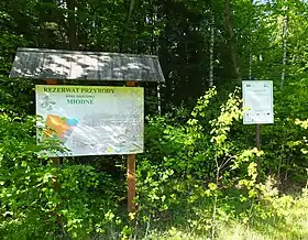 Miodne-Leśniczówka