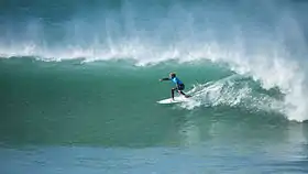 Image illustrative de l’article Ricardo Christie