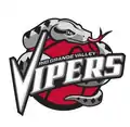Logo des Vipers de Rio Grande Valley