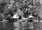 Maisons sur le Río Dulce, filmé d'un bateau vapeur de la IRCA.