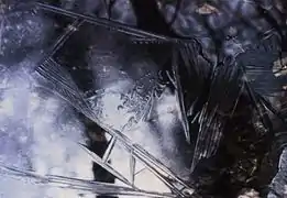 « Le réel imaginaire à partir de Roger Caillois »