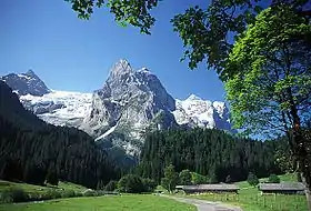 Vue du glacier de Rosenlaui (à gauche) et du Wellhorn (au centre) depuis le nord.