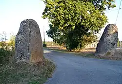 Image illustrative de l’article Pierres-Folles (Rosnay)