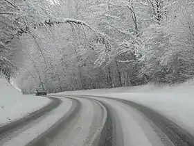 Image illustrative de l’article Forêt de Rothonne