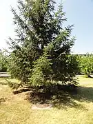 Le puits no&nbsp;1 dans son environnement.