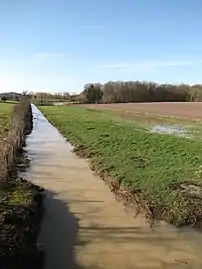 Le ru du Cuivre,février 2014