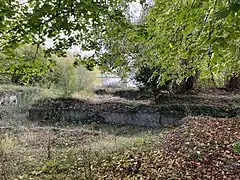 Ruine du château de Tervueren