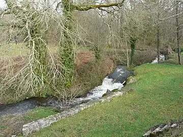 Le ruisseau de l'Étang Grolhier en aval de l'étang du même nom.
