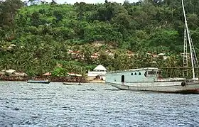 Vue de la côte de l'île de Run.