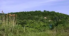 Image illustrative de l’article Rupp-hegy