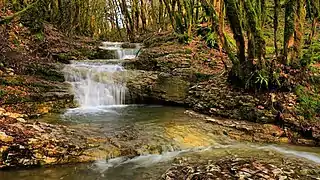 Cascades et marmite sur le Bief de Vaux.