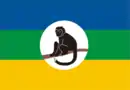 Drapeau des Bakonjo (Ouganda)[réf. nécessaire].