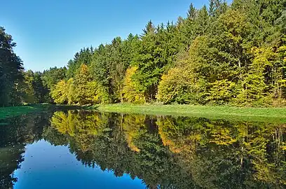Étang dans la vallée du ruisseau Pilavka, près d'Ochozská Kyselka.