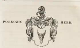 Image illustrative de l’article Famille Rzeszowski