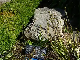 Image illustrative de l’article Sépulture néolithique de Roch-Las-en-Port-Blanc