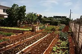 Petite ferme à la Havane.