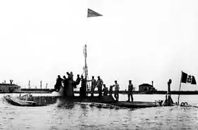 illustration de Delfino (sous-marin, 1892)