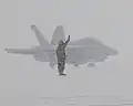 Manœuvre d'arrivée d'un Boeing EA-18G Growler à Misawa Air Base sous une tempête de neige. Janvier 2013.