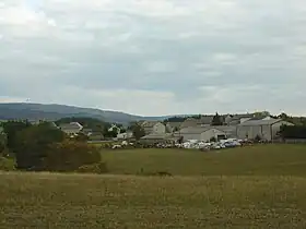 Saint-Amans (Lozère)