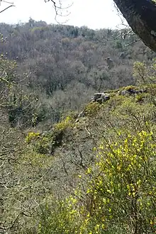 « -Vois-tu ta tête ? -Non -Vois-tu le monde ? -Oui -Tu y es. R. Lang