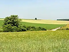 Paysage de la commune.