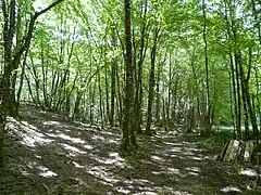 Au nord de Saint-Pantaly-d'Ans.