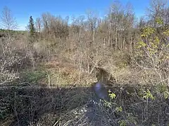 Ruisseau Bras Fanfan, du pont P-06222, rang Saint-Paul`