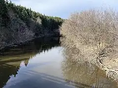 Du Pont Veillette, poutres en béton armé (1943), P-01599, route du Pont Veillette, Saint-Séverin