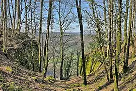 Fossé taillé dans le roc.