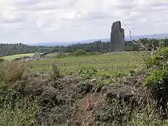 Saint-Goazec : l'alignement de menhirs de Trimen 1