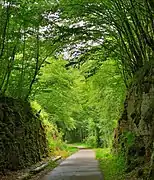 Voie verte d’Ornans au plateau du Doubs