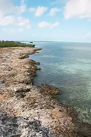 Côte du cayo Iguanas proche