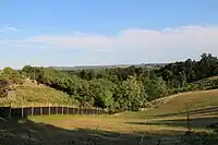 Miličinica - Panorama