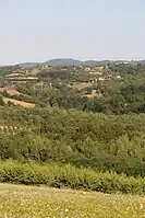 Miličinica - Panorama