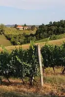 Miličinica - Panorama