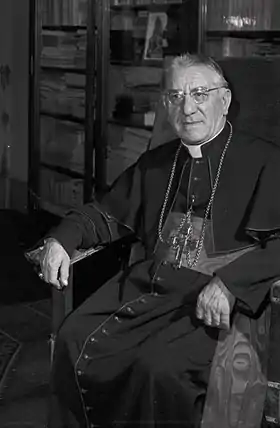 Image illustrative de l’article Adeodato Giovanni Piazza