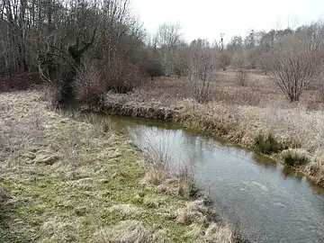 La Seyze, 200 mètres avant sa confluence avec le Caudeau.