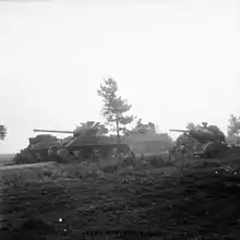 Un Troop (deux Shermans 75&nbsp;mm appuyés par un Firefly) des Irish Guards pendant la progression vers Arnhem