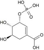 Image illustrative de l’article Acide 3-phosphoshikimique