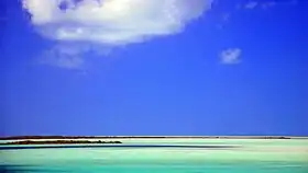 Rivage de l'île de North Caicos.